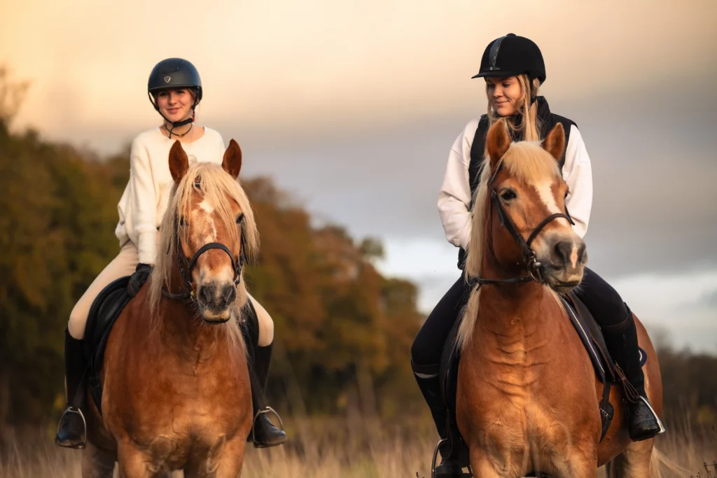 Balade à cheval avec des chevaux haflinger