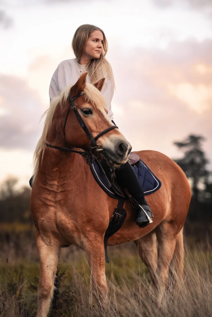 Cavalière avec son cheval haflinger aux crins blonds